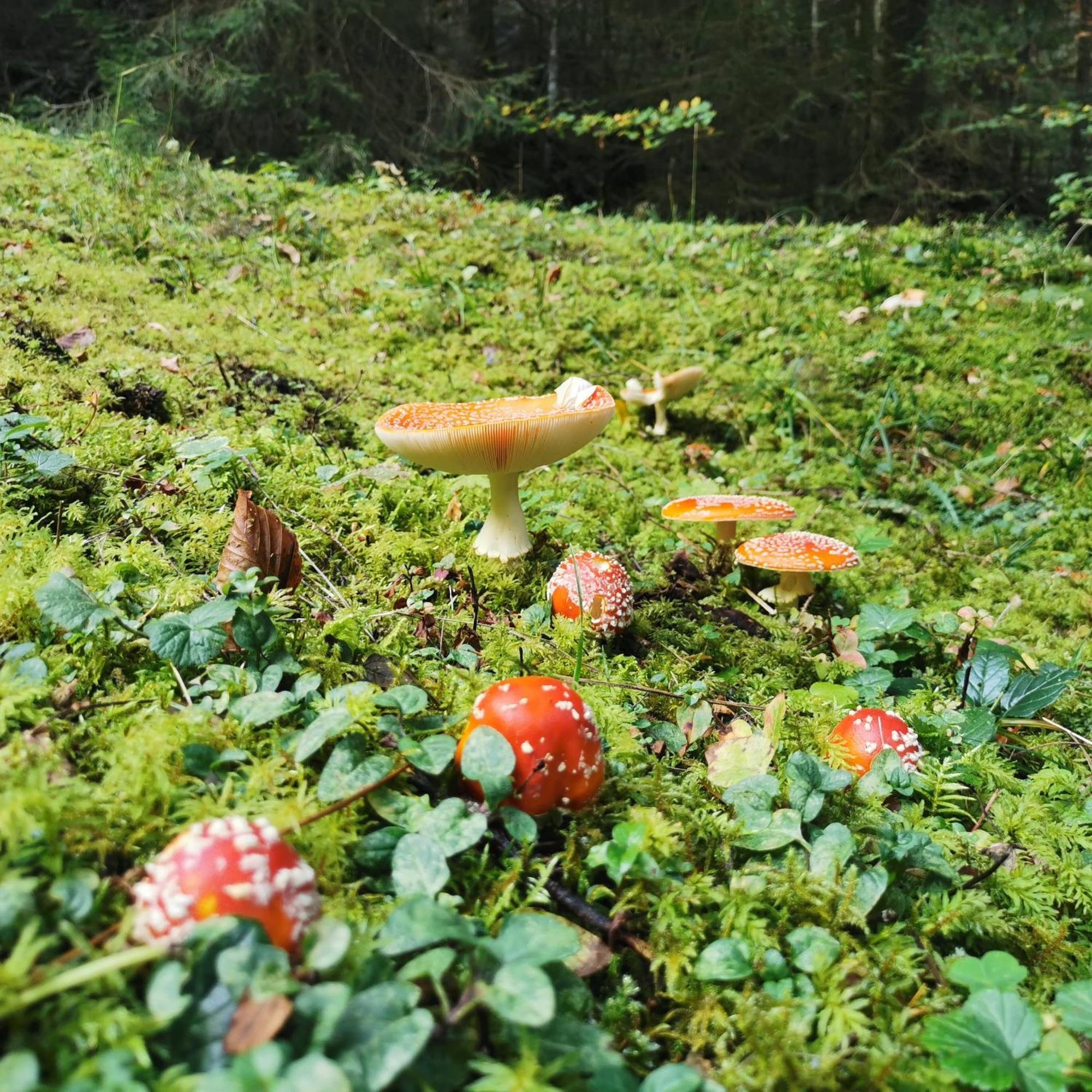 Gasthof Kreuz Marbach Eksteriør bilde
