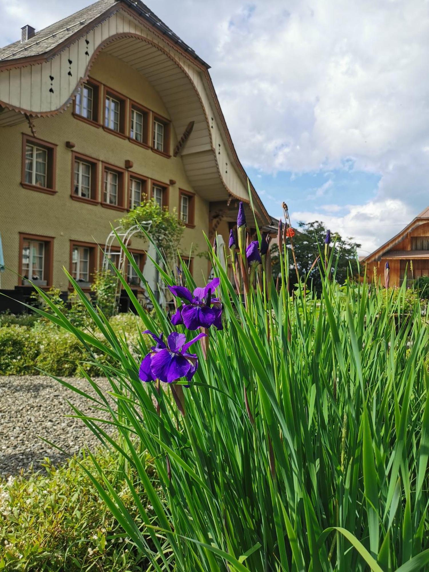 Gasthof Kreuz Marbach Eksteriør bilde