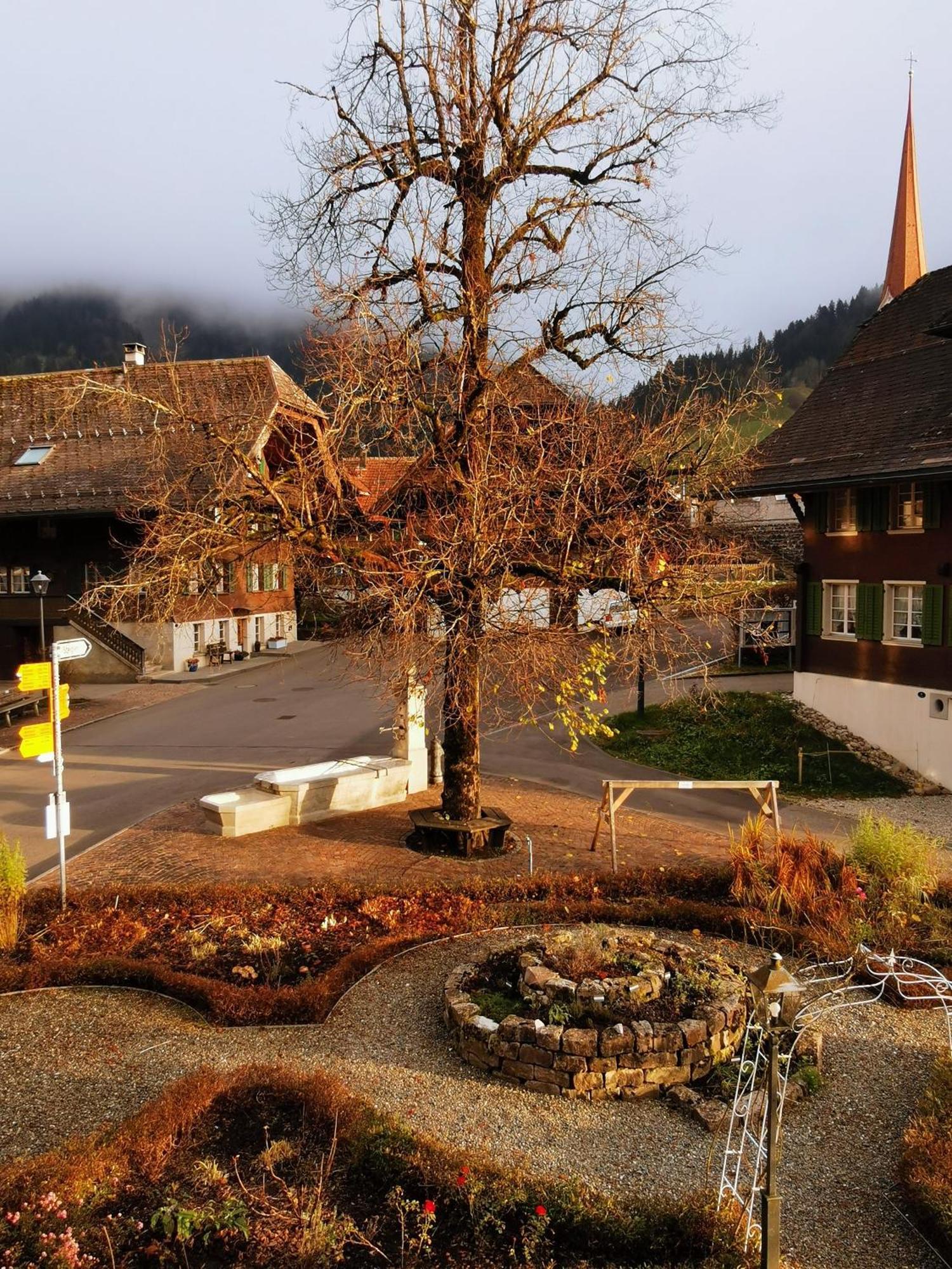Gasthof Kreuz Marbach Eksteriør bilde